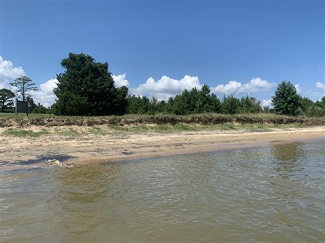 Striped Bass Habitat | Legacy | Virginia Institute of Marine Science