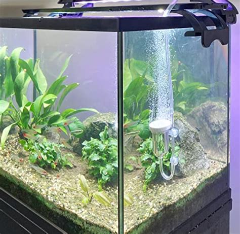 Bubbler for Fish Tank: Bubblers Necessary for Fish Tanks? - PetAquariums