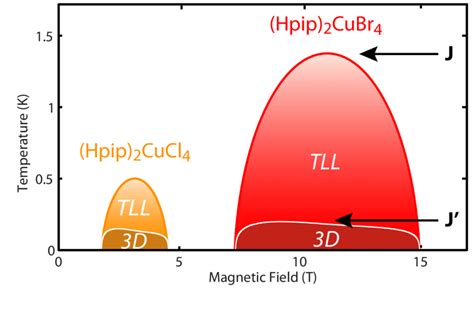 Schematic Temperature Magnetic Field Phase Diagram For The Two