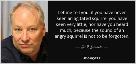 TOP 25 QUOTES BY JOE R. LANSDALE | A-Z Quotes