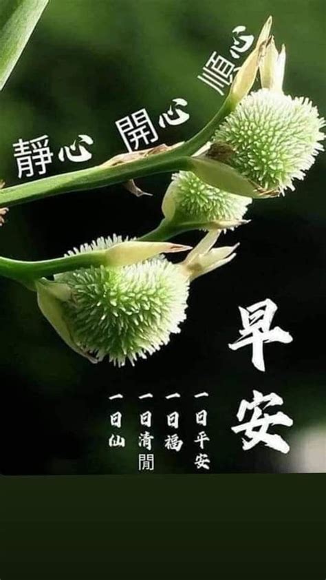 Pin By Gina On Chinese Quotes In Good Morning Wishes Good