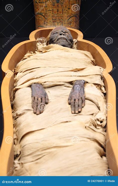 Egyptian Mummy Stock Image Cartoondealer