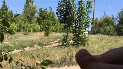 Outdoor Dickflash 1 Porn Videos