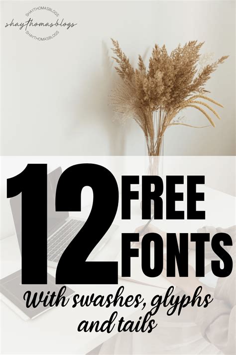 Gorgeous Free Fonts With Tails Glyphs And Swashes Artofit