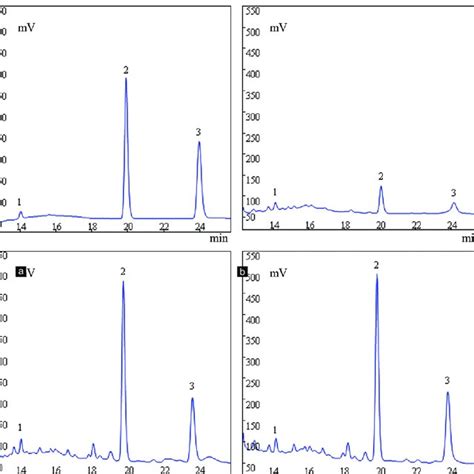 Hplc Chromatograms Of Standard And Three Extracts Hplc Chromatograms