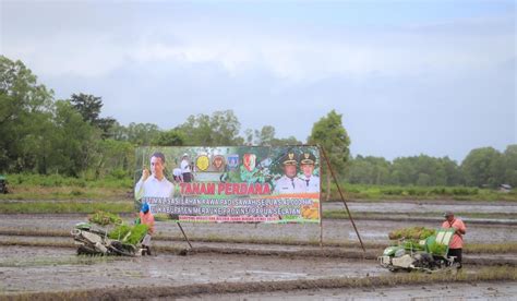 Percepat Pengembangan Merauke Jadi Lumbung Pangan Mentan Amran