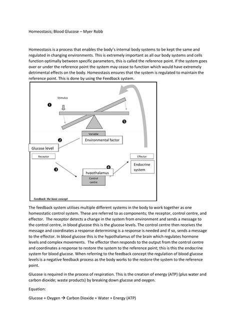 Homeostasis - Blood Glucose | Biology - Level 3 NCEA | Thinkswap