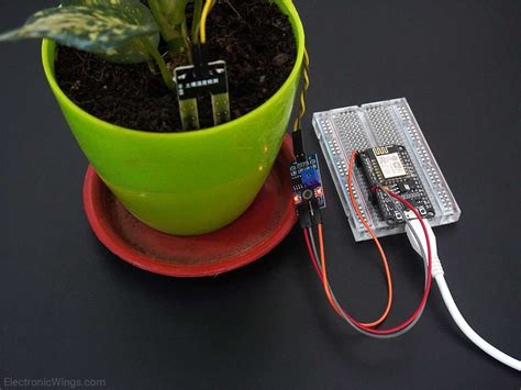 Soil Moisture Sensor Interfacing With NodeMCU SmartFarm RMUTI