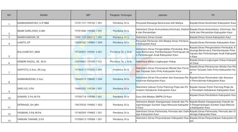 Ini Plt Kepala Opd Yang Ditugaskan Bupati Kaur