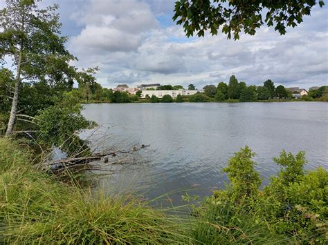 Vannes un homme perd la vie après une noyade dans l étang au Duc