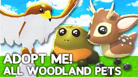 ALL 8 Woodland Pets In Woodland Egg Update And Its Rarity Adopt Me