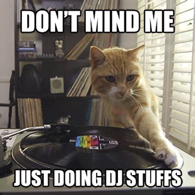 Cat Doing DJ Stuffs - FunDJStuff.com