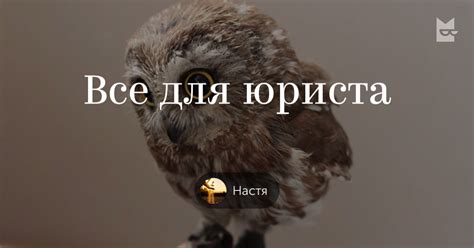 Книги «Все для юриста», Настя — Что почитать — полка Яндекс Книги