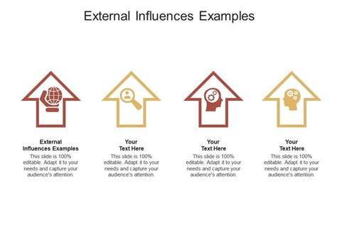 External Influences Examples Ppt Powerpoint Presentation Infographics