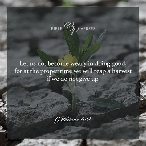 Perseverance Bible Verse