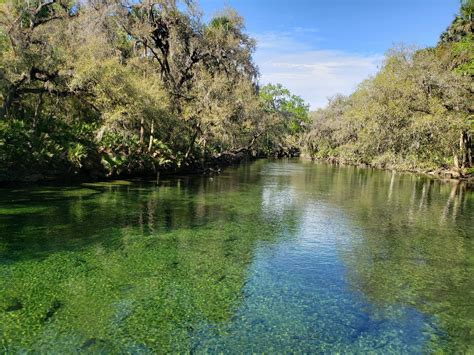 Blue Spring State Park - Go Wandering