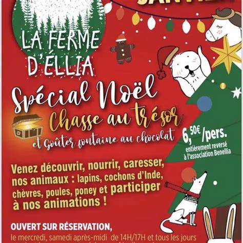 Animations de Noel à la Ferme dEllia Sarlat la Canéda Sarlat