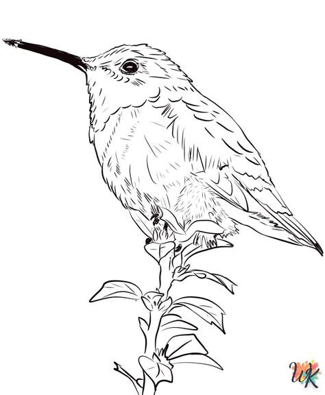 Dibujos Para Colorear Colibríes DibujosparaColorearWK