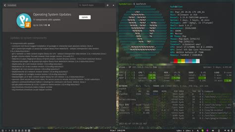 Best Linux Distros In 2023 Beginner To Expert