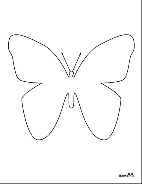 Blank Butterfly Coloring Pages At Free Printable