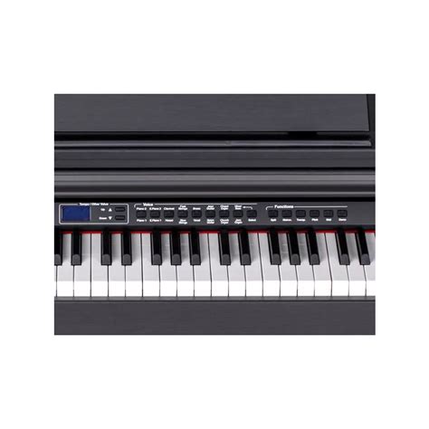 ORLA CDP-101DLS ROSEWOOD + CUFFIA OMAGGIO