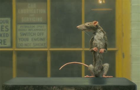 'The Rat Catcher' Review: Somehow Even a Rat Catcher Is Cute in Wes Anderson's World | The Mary Sue