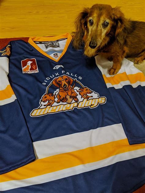 My Fighting Wiener Dogs Jersey Finally Arrived Rdachshund