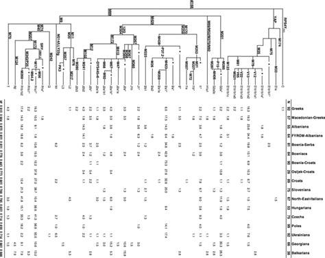 Phylogeny Of Y Chromosome Haplogroups And Their Frequencies In The