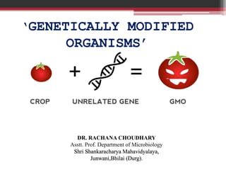 Genetically Modified Organism.ppt