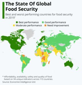 IMPACT OF COVID 19 ON GLOBAL FOOD SECURITY Krea University Top