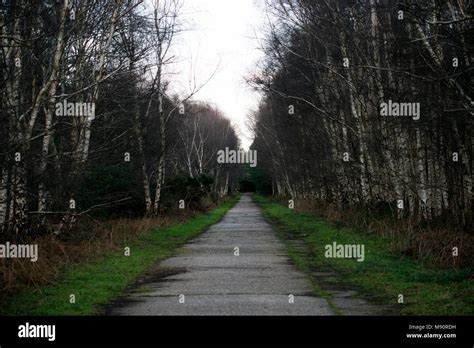 Incidente Ovnis Bosque Rendlesham Fotografías E Imágenes De Alta