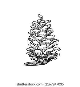 Pine Cone Sketch Vector Black White Stock Vector (Royalty Free ...