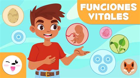 Las Funciones Vitales De Los Seres Vivos Relación Nutrición Y