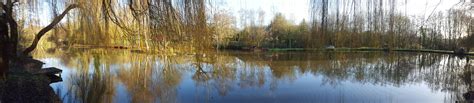 Willow Lake Test Valley Angling Club