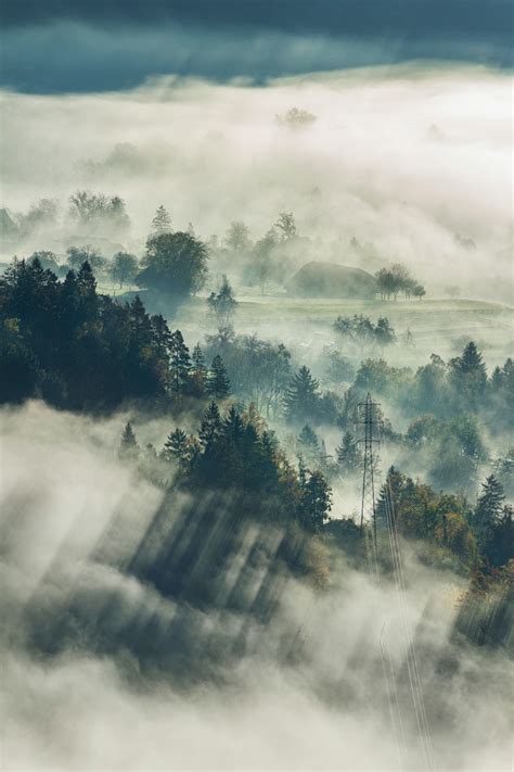 Foggy Weather Wallpapers - 4k, HD Foggy Weather Backgrounds on WallpaperBat