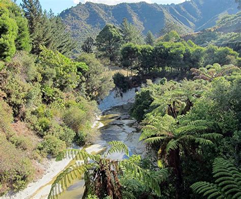 THE 10 BEST Things to Do in Whanganui (Updated 2025) - Tripadvisor