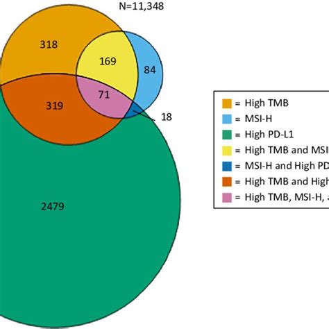 Venn Diagram Of The Relationships Between High Tumor Mutational Burden Download Scientific