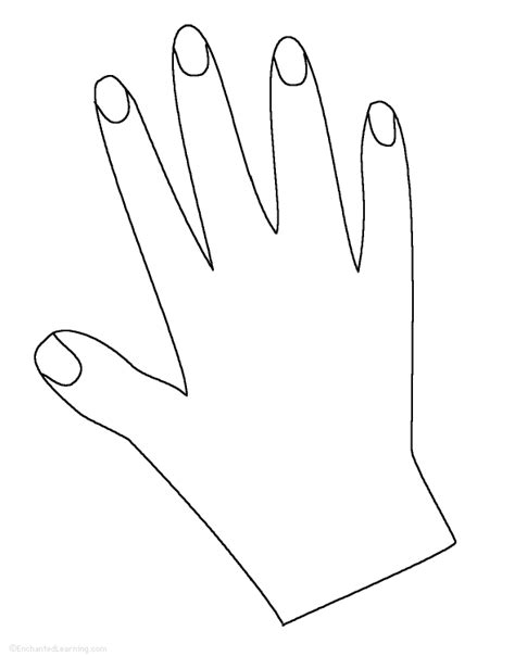 Hand Tracingcutting Template