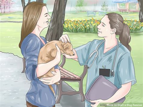 how to start a dog rescue with no money