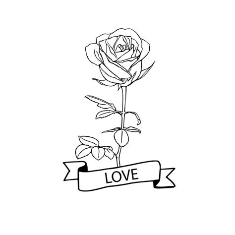 Premium Vector | Rose sketch element