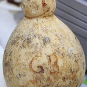 Caciocavallo podolico del Gargano - Italian Cheese