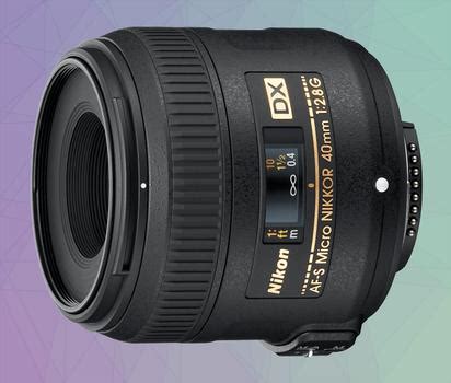 The Best Nikon D Lenses For Incredible Photography