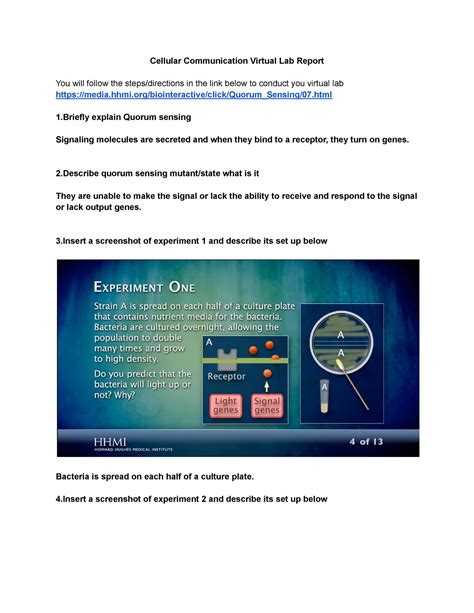 Cellular Communication Lab Report - Cellular Communication Virtual Lab Report You will follow