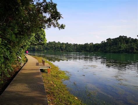 MacRitchie Reservoir Park - Trip with Toddler