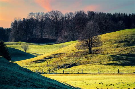 Hill Padang Rumput Hutan Foto Gratis Di Pixabay Pixabay