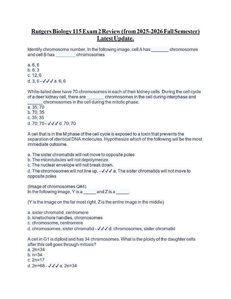 Rutgers Biology 115 Exam 2 Review (from 2025-2026 Fall Semester) Latest