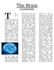 The Brain Newsletter Docx The Brain Th January He Brain Is A