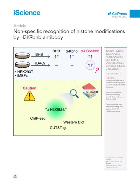 (PDF) Non-specific recognition of histone modifications by H3K9bhb antibody 