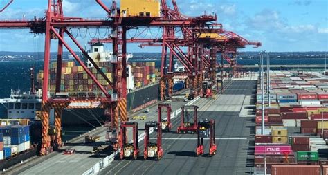 Australian Exports Pick Up The Pace Newking International