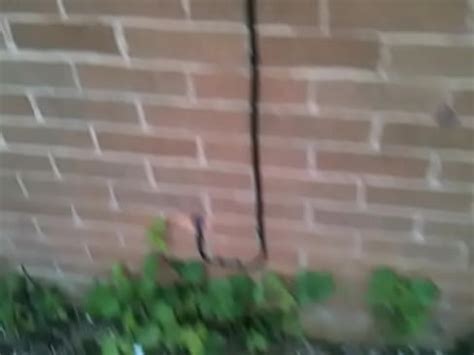 My Mates Watch While I Fuck My Girlfriend Xvideos